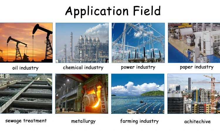 Anionic Polyacrylamide for Drilling Mud Additive (2) Anionic Polyacrylamide for Drilling Mud Additive (2)