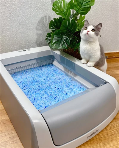Наповнювач для котячого туалету Tofu. Безкоштовний зразок засобів для чищення домашніх тварин Оптова торгівля силікагелевим туалетом для котів